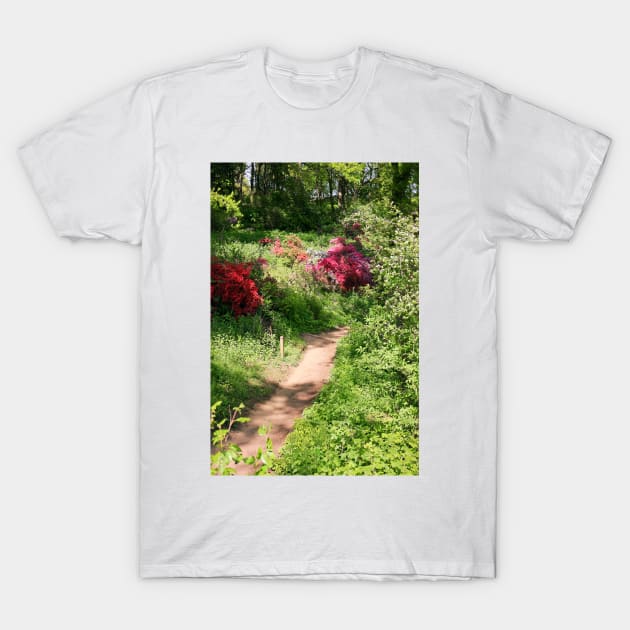 Woodland in Spring T-Shirt by pinkal